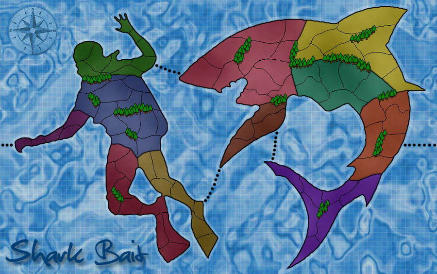 the map